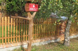 domki na leśnej polanie - Foto 49