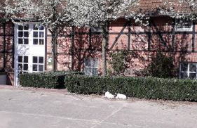 Landhaus am Esch - Foto 20