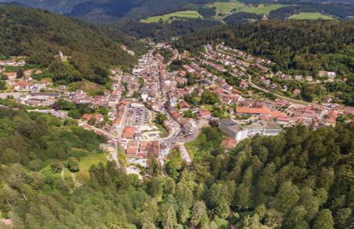 Apartment in Gutenbach With Nearby Forest - Foto 69