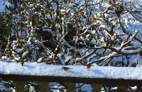 Tanllan Apartment - Foto 33