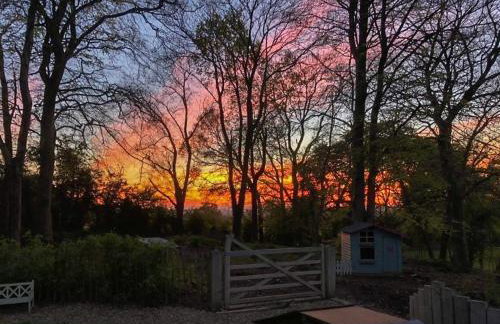 Blackberry Loft - a Hidden Gem - Foto 31