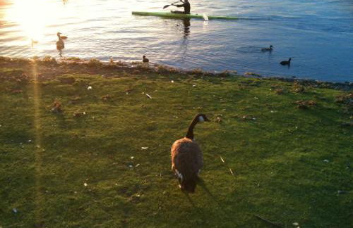 Apartment Alster - Foto 1