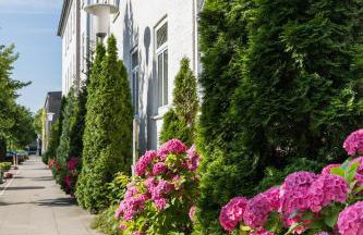 Berne Apartments - Foto 7