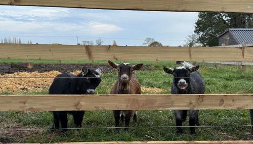 The Studio at Charter House Farm - Foto 3