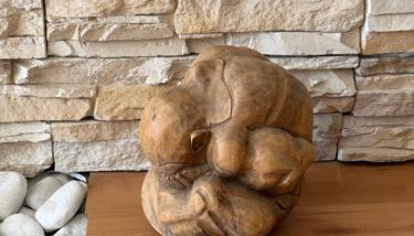 Casa Claudia Radazul - Foto 5