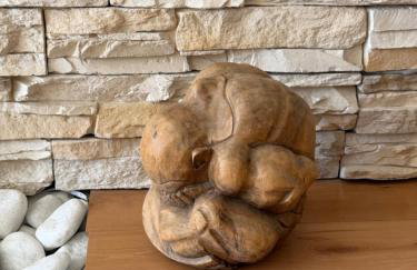 Casa Claudia Radazul - Foto 5