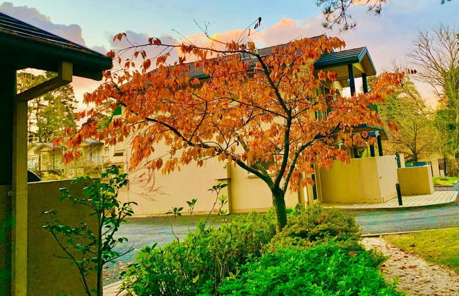 Falls Mountain Retreat - Foto 15