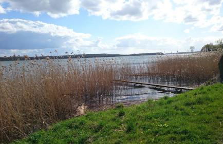 Idyll im Land der 1000 Seen - Foto 51