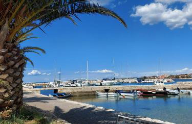 Villa Puntina, Bibinje - Foto 66