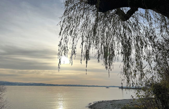 Commune88 EAST - Foto 66