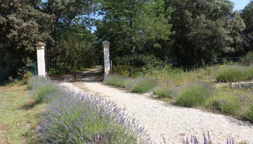 BASTIDE Neissoun - Foto 4