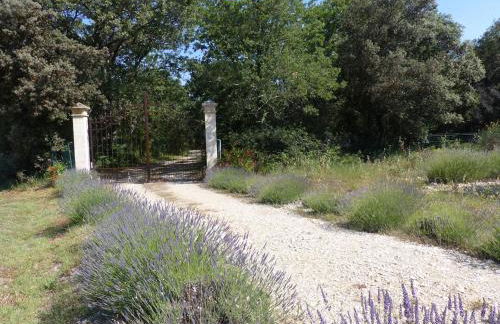 BASTIDE Neissoun - Foto 4