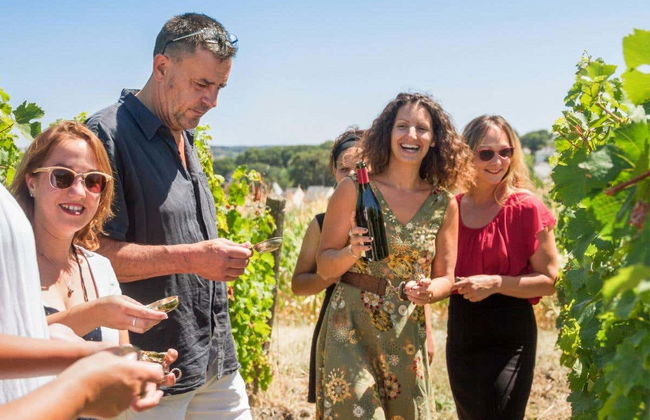 Visita a un vigneto di Saumur - Foto 4