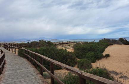 Dunesunbreak Arenales - Foto 28