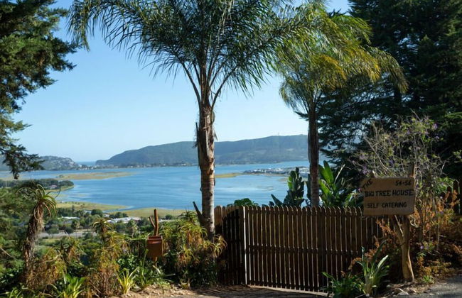 Big Tree House Lodge - Foto 35