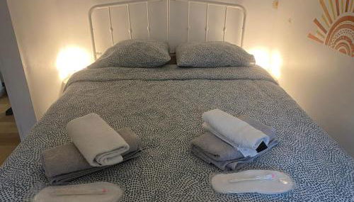 Maison climatisée Lyon-Bron Eurexpo - Stadium Groupama - Interdit aux événements - Photo 2