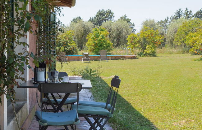 Tenuta San Calogero - Foto 43