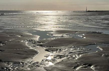 Beachcomber Cabin, Dog Friendly - Anderby Creek - Photo 24