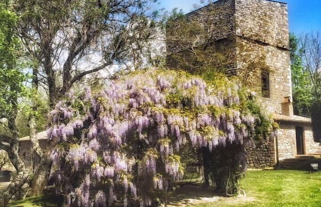 Podere Vitiano - Foto 26