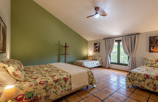 Fazenda Realeza - Foto 12