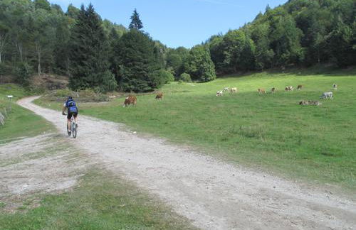 Casa Ledro - Foto 16