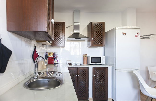 Caballo de Mar Frison - Foto 4