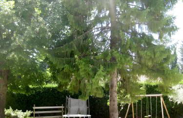 Gites Mas La Mounine - Foto 11