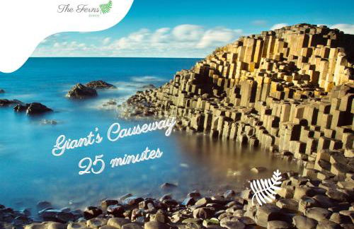 The Ferns - Causeway Coast - Foto 15