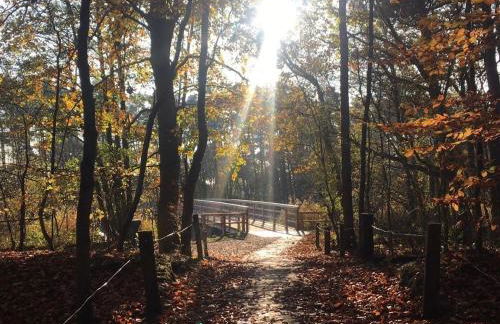 "NordWest" Ferienwohnung - Foto 24