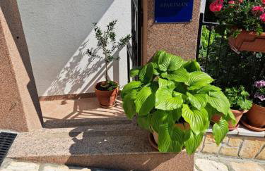 Stella - Foto 7