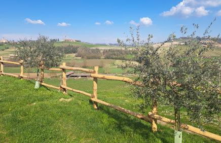 Cascina Fazioli B&B - Foto 46