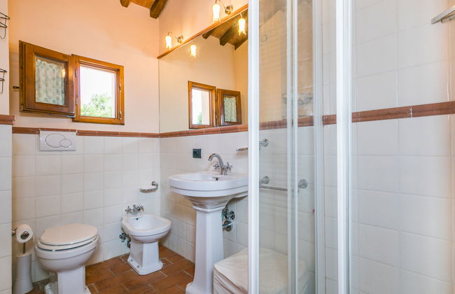 Francigena - Foto 29