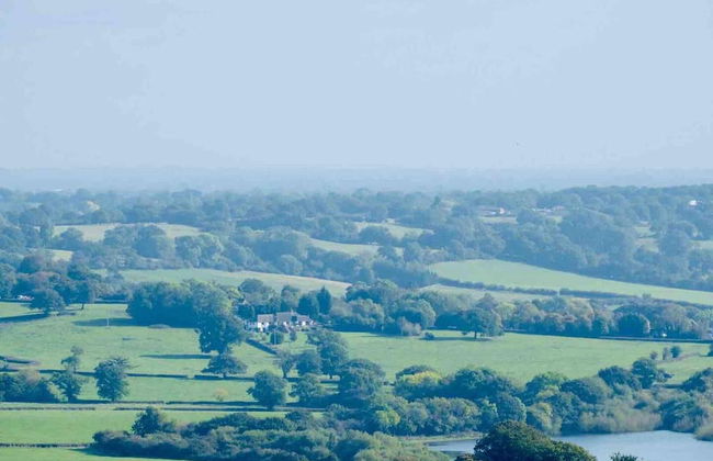 Studio/lickey Hills/near Attractions/garden/petok - Foto 14