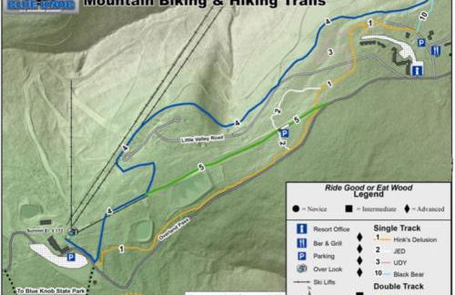 Blue Knob Bear Den (Nordic Center/Golf Course) - Foto 33