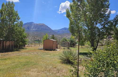 Guest House - Foto 21