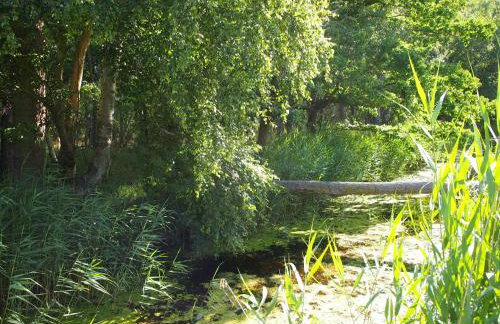 Komfortowy Domek Natura, w pobliżu Nadmorskiego Parku Krajobrazowego, 800 m od plaży - Foto 16