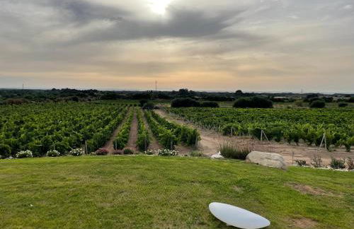 Carrabean sea in the North of Sardegna, with swimming pool - Foto 21