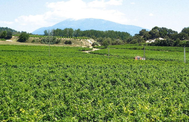 Apartment in Caderousse With Pool - Foto 21