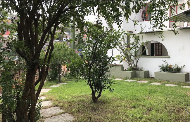 OliLer s House&Garden Zona Centro - Foto 29