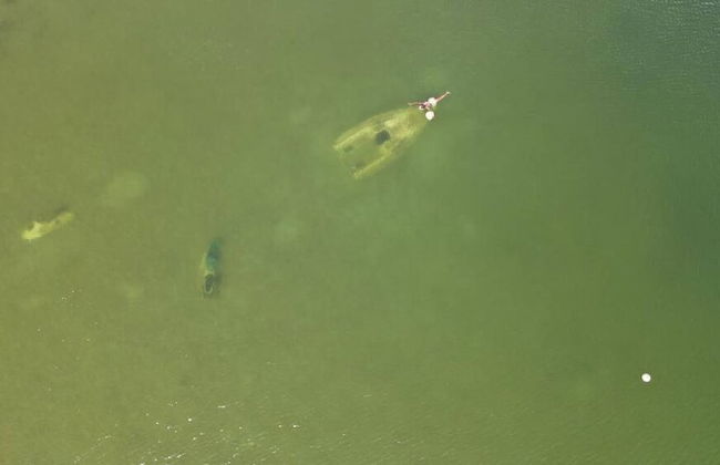 Log Cabin On And Overlooking a 9km Lagoon - Photo 9