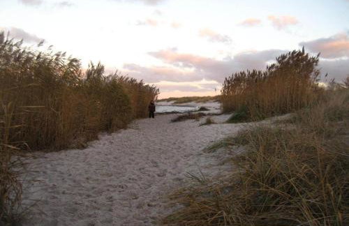 Hof Seebrookquelle - Foto 21