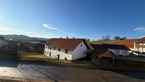 Ferienwohnungen Rauch - Foto 4