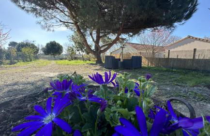 Le gite de nathye - Foto 24