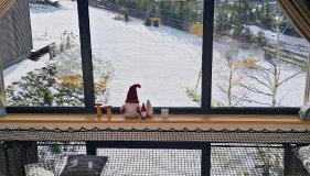 Domki Pod Lasem - Domek Brzozowy - Foto 3