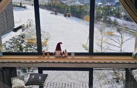 Domki Pod Lasem - Domek Brzozowy - Foto 3