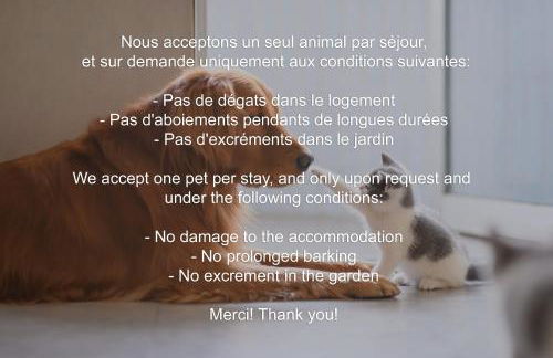 Le Giromagite au pied du Ballon d'Alsace - Foto 11