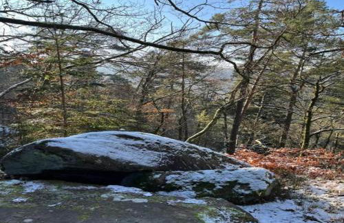 Chalet in Dabo near Castle Ruins - Photo 31