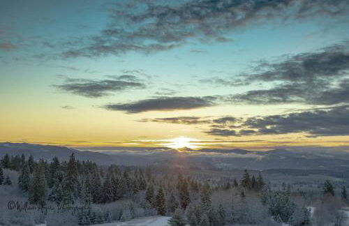 Welcome to Raven Ridge Lodge - where time slows - Photo 61