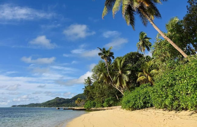 Chez Benoit Self Catering - Photo 37