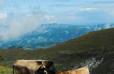 Casa Marian - Foto 100